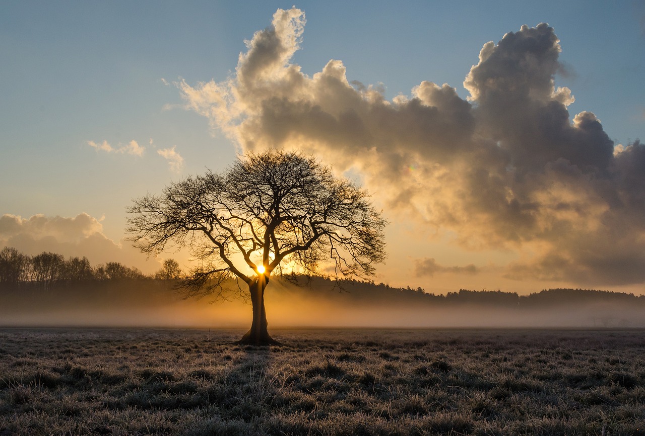 Walk&Talk Coaching im Bezirk Wiener Neustadt